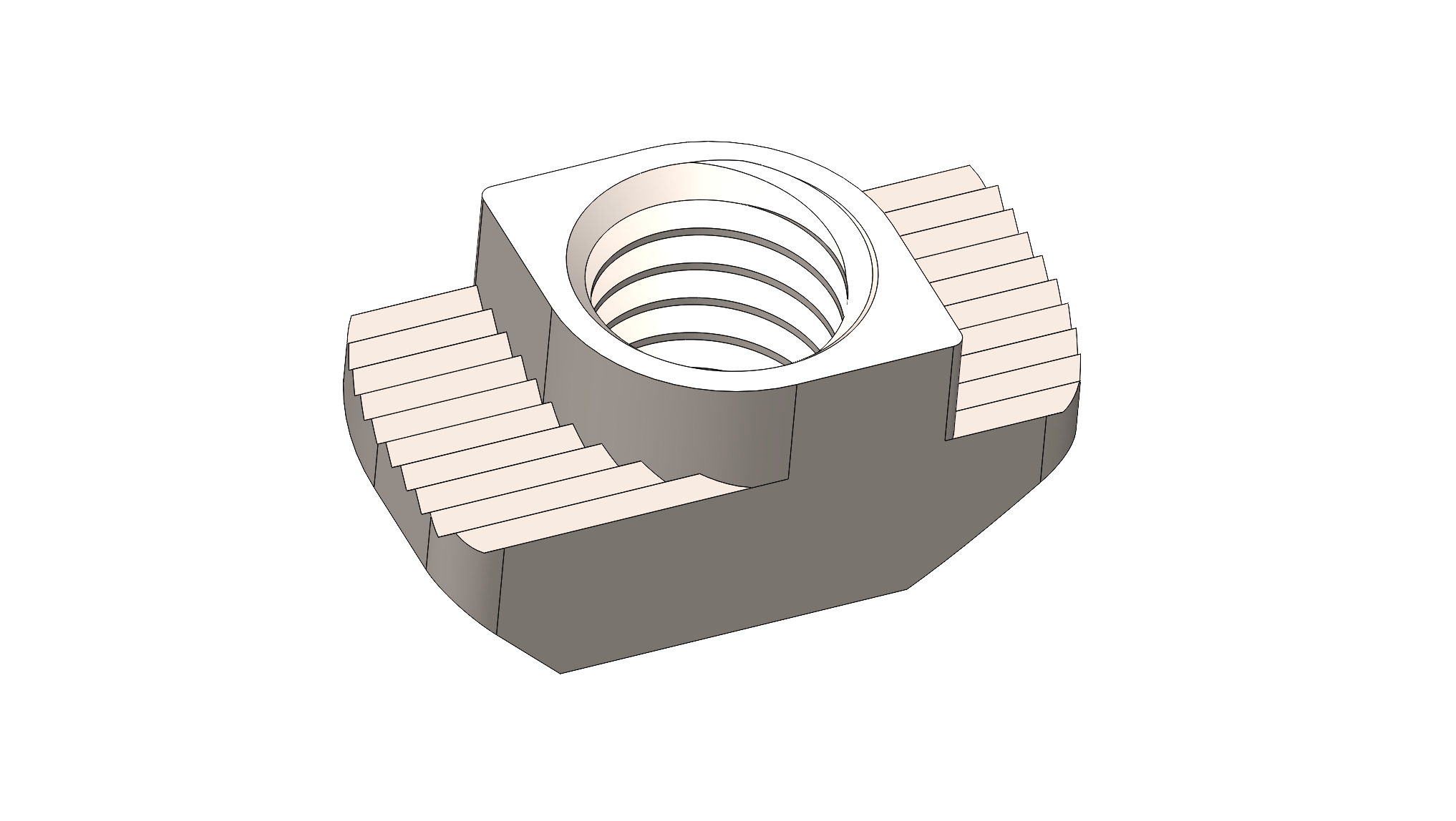 T-SLOT - 10 MM HAMMER NUTS